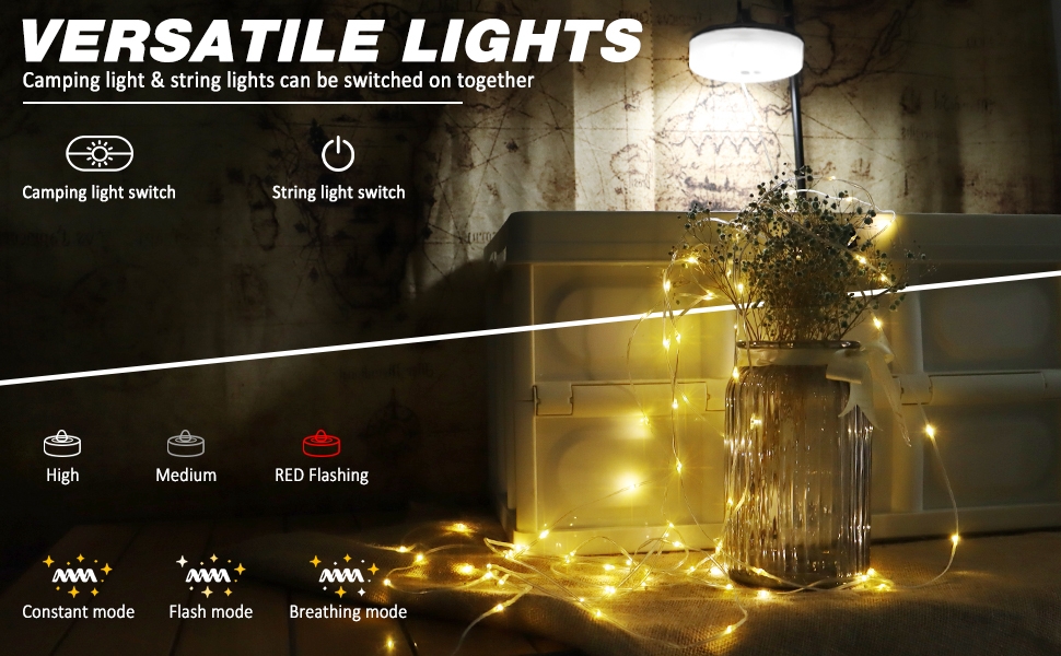Versatile Lights